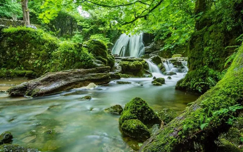 先进稳定性高端